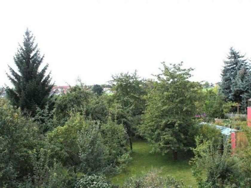 Exklusive Ferienwohnung An Der Elbe Дрезден Екстер'єр фото